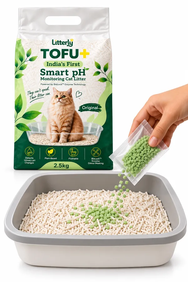 Adding pH activated granules to a tray of Litterly tofu litter